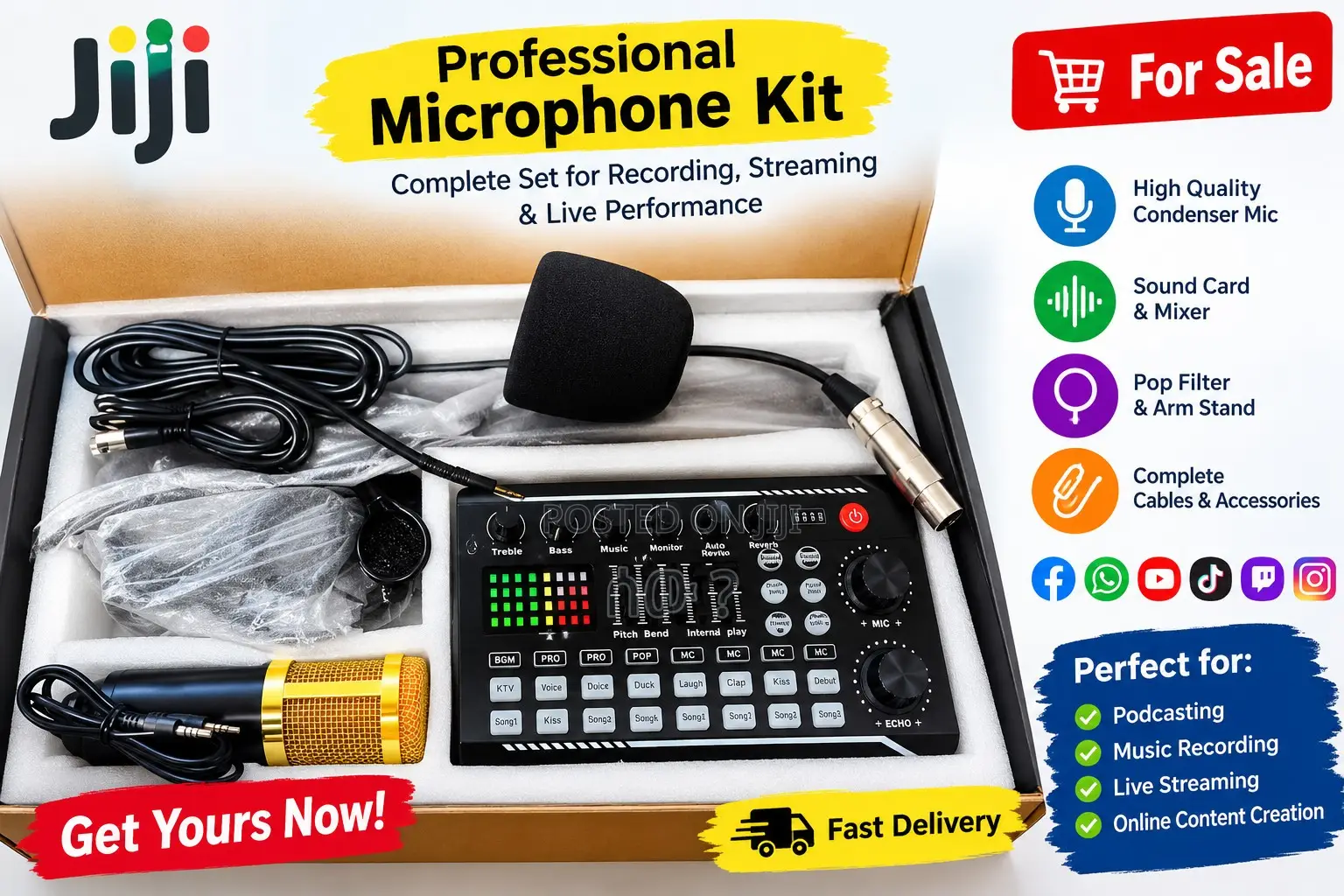 Professional Condenser Microphone