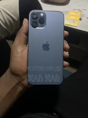 Apple iPhone 12 Pro Max 256 GB Gray