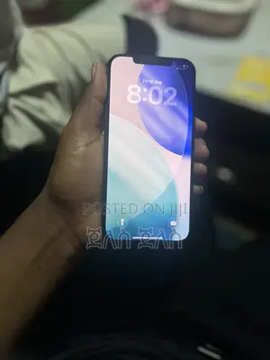 Apple iPhone 12 Pro Max 256 GB Gray