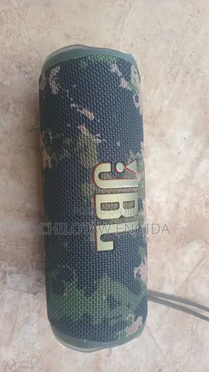 JBL Flip 6