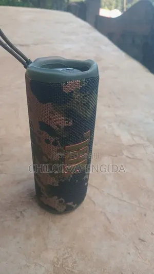 JBL Flip 6