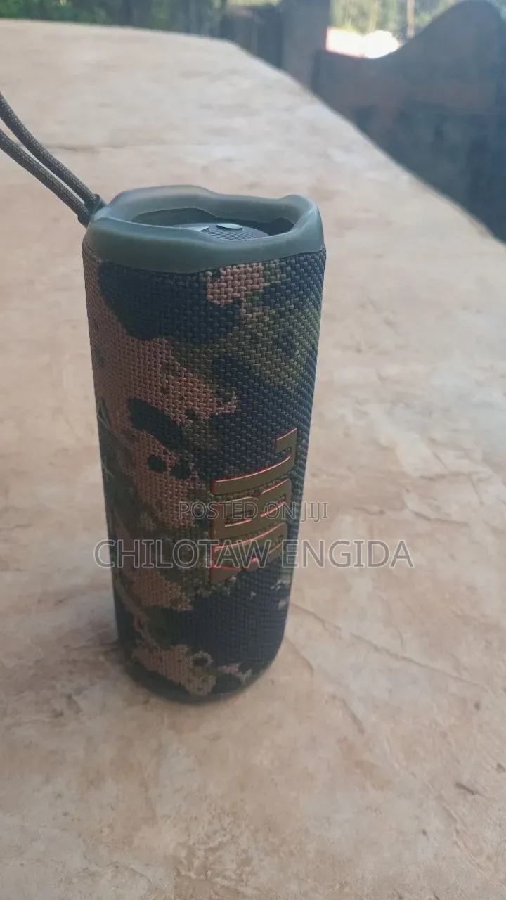 JBL Flip 6