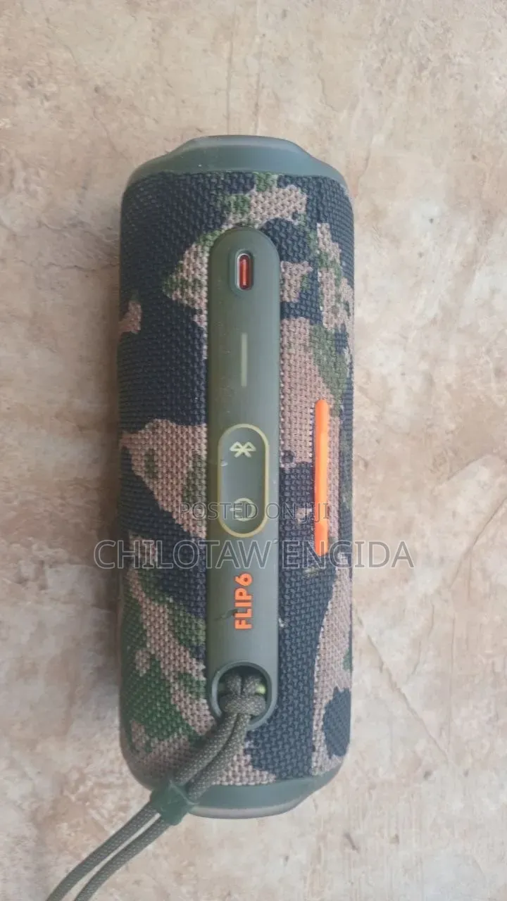 JBL Flip 6