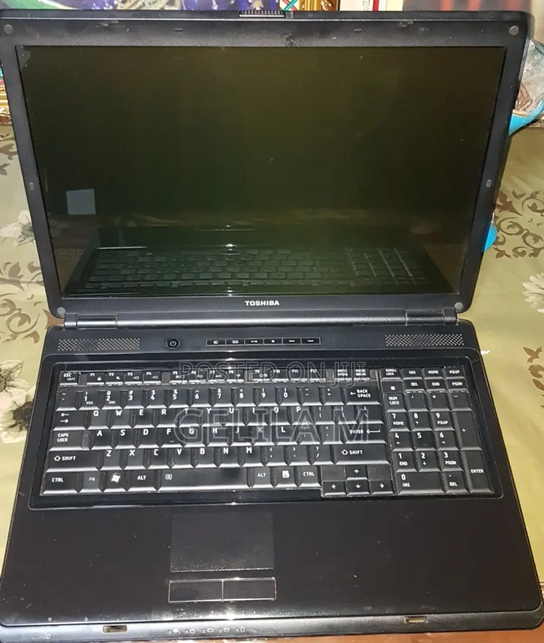 Laptop Toshiba Satellite L355D 3GB HDD 160GB