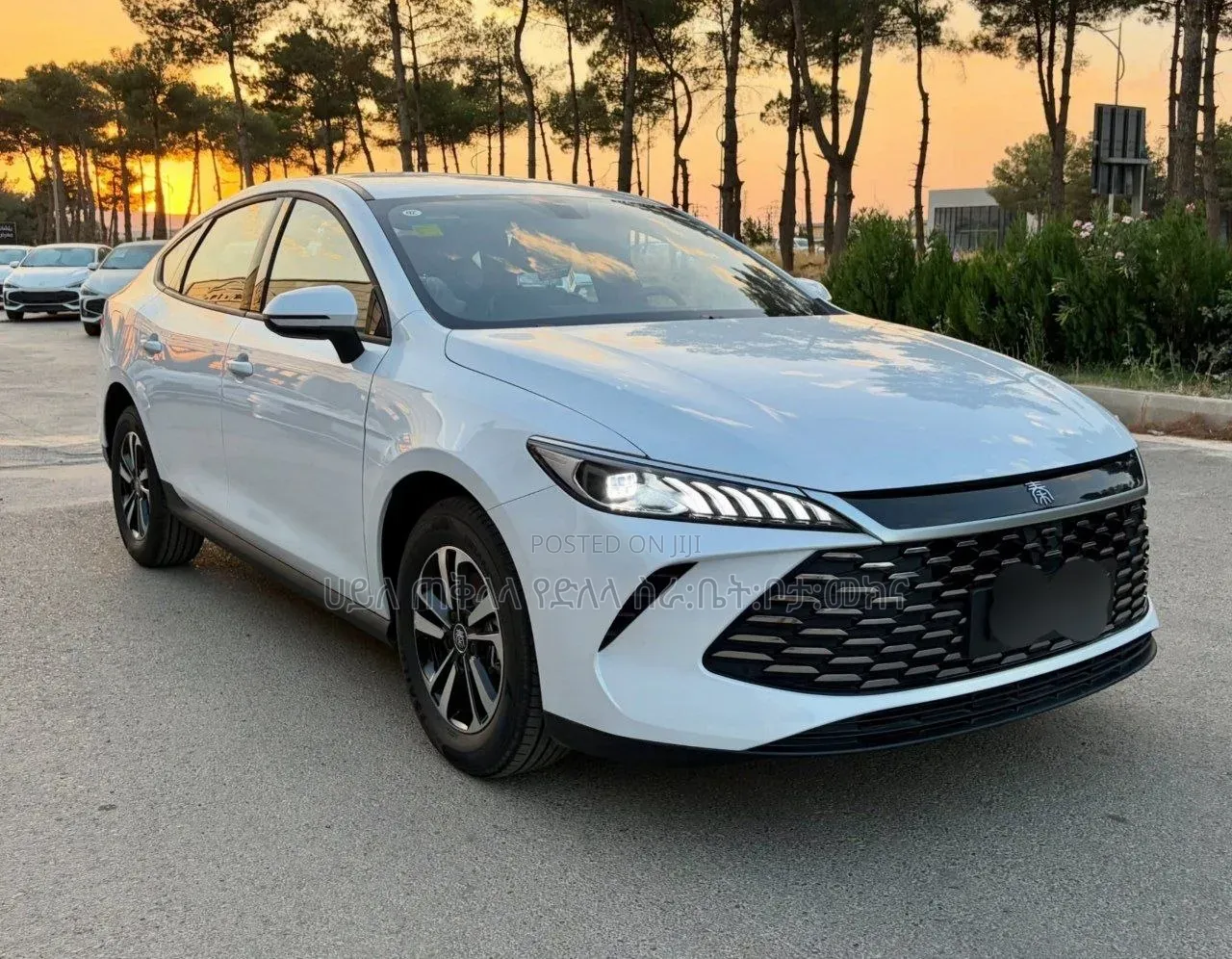 New BYD Qin Plus DM-i 2025 Off white