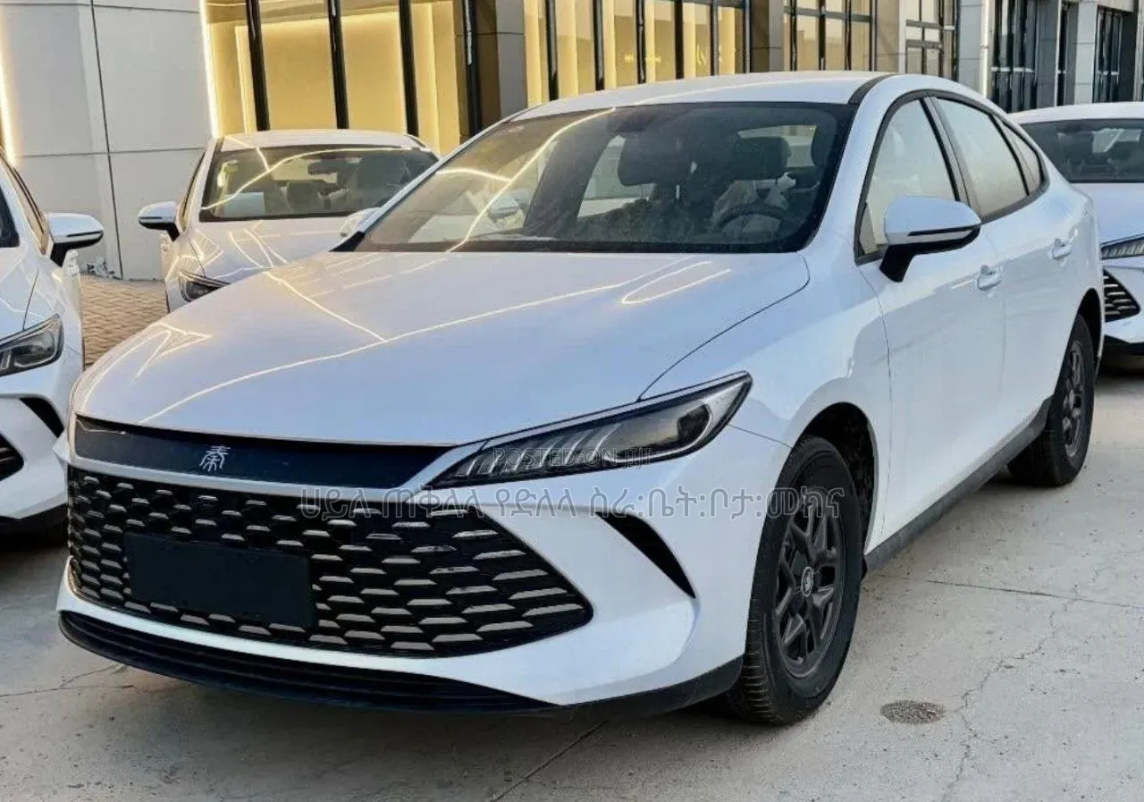 New BYD Qin Plus DM-i 2025 Off white