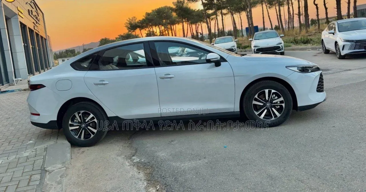 New BYD Qin Plus DM-i 2025 Off white