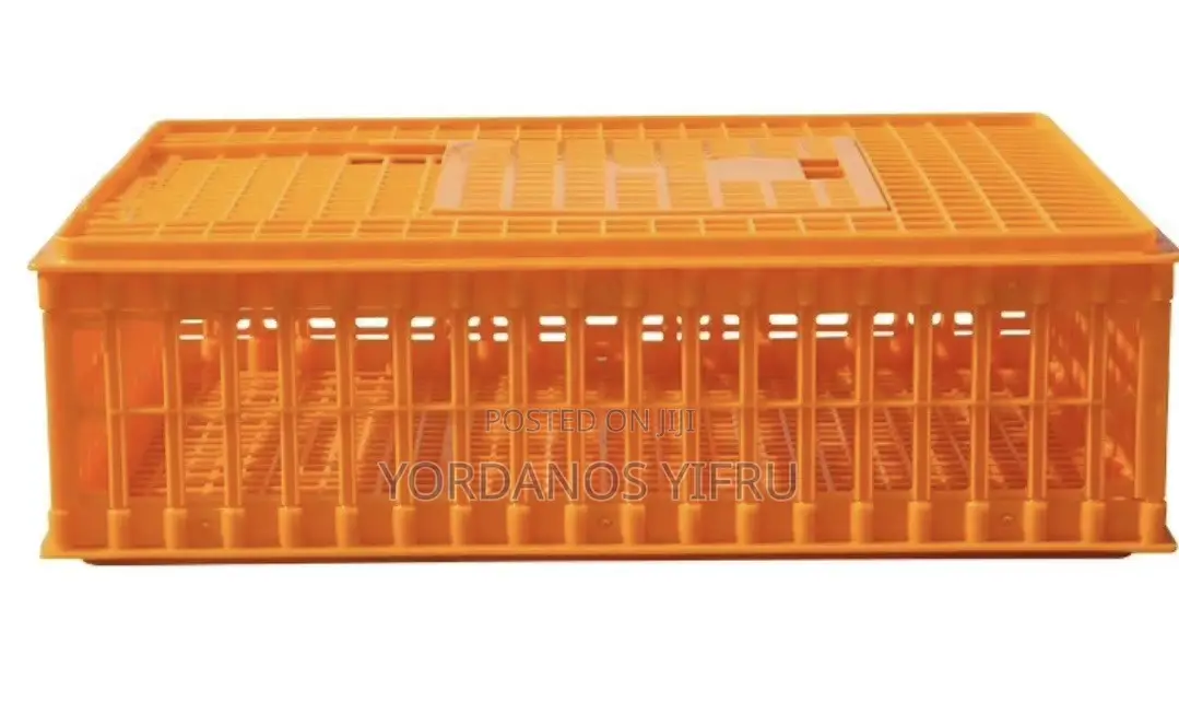 የዶሮ ማጓጓዣ ሳጥን /Plastic Crate