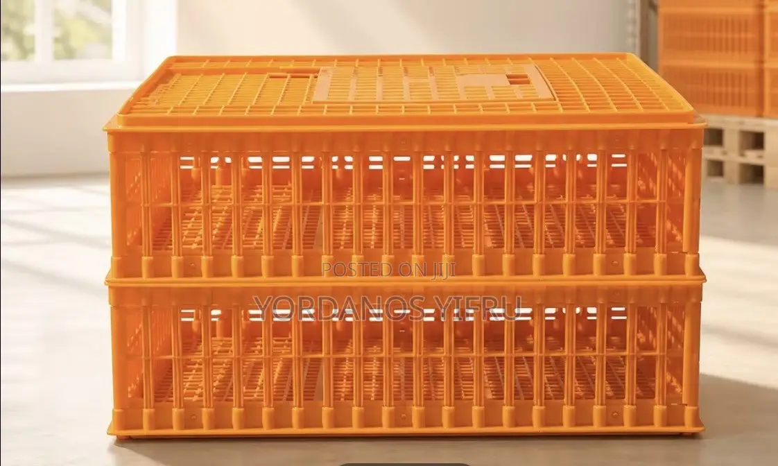 የዶሮ ማጓጓዣ ሳጥን /Plastic Crate