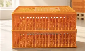 የዶሮ ማጓጓዣ ሳጥን /Plastic Crate