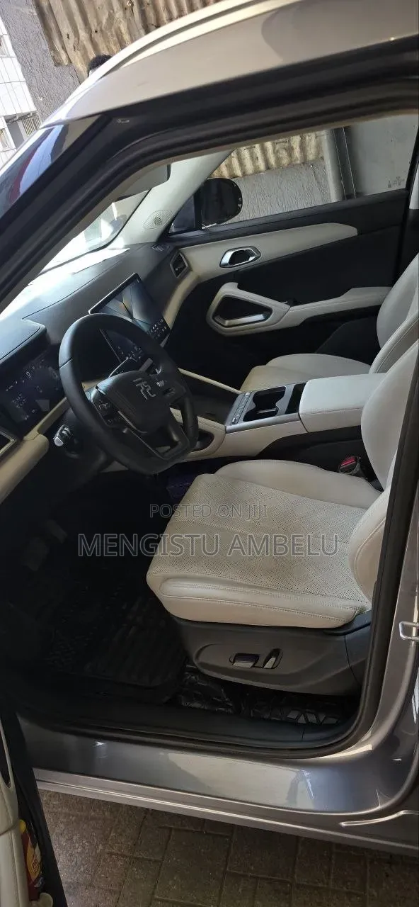 New BYD Yuan Plus 2025 Gray