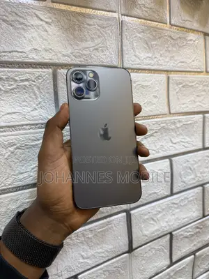 Apple iPhone 12 Pro Max 256 GB Gray