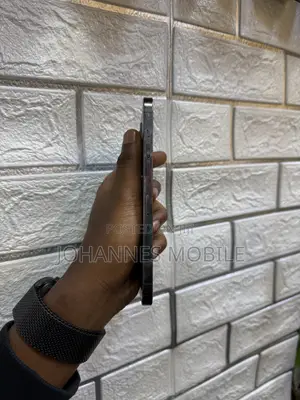 Apple iPhone 12 Pro Max 256 GB Gray