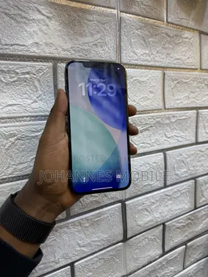 Apple iPhone 12 Pro Max 256 GB Gray