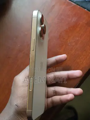 Apple iPhone 16 Pro Max 256 GB