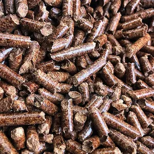 Biomass Fuel Pellets | የነዳጅ አማራጭ