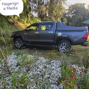 Toyota Hilux 2018 Gray
