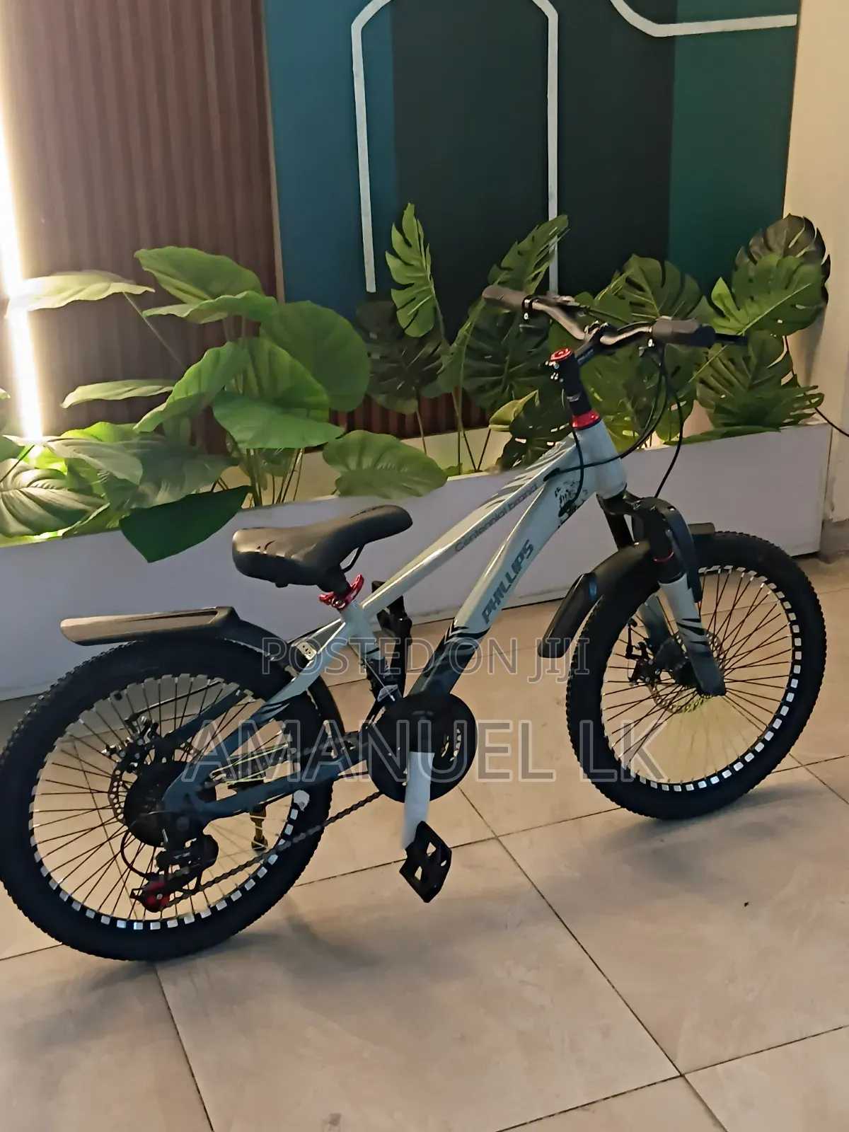 ፕሊፕስ Bicycle