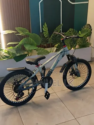 ፕሊፕስ Bicycle