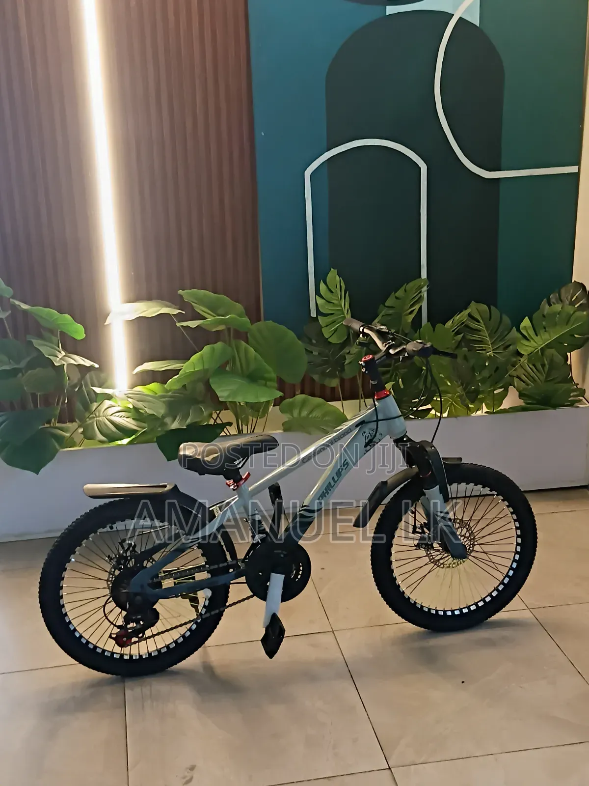 ፕሊፕስ Bicycle