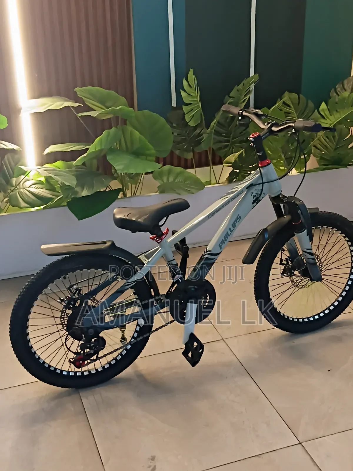 ፕሊፕስ Bicycle