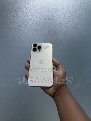 Apple iPhone 13 Pro Max 256 GB Gold
