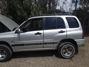 Suzuki Grand 1998 Silver