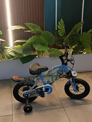 Suspension Bike Baby