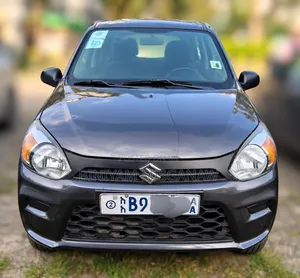 Suzuki Alto 2021 Gray