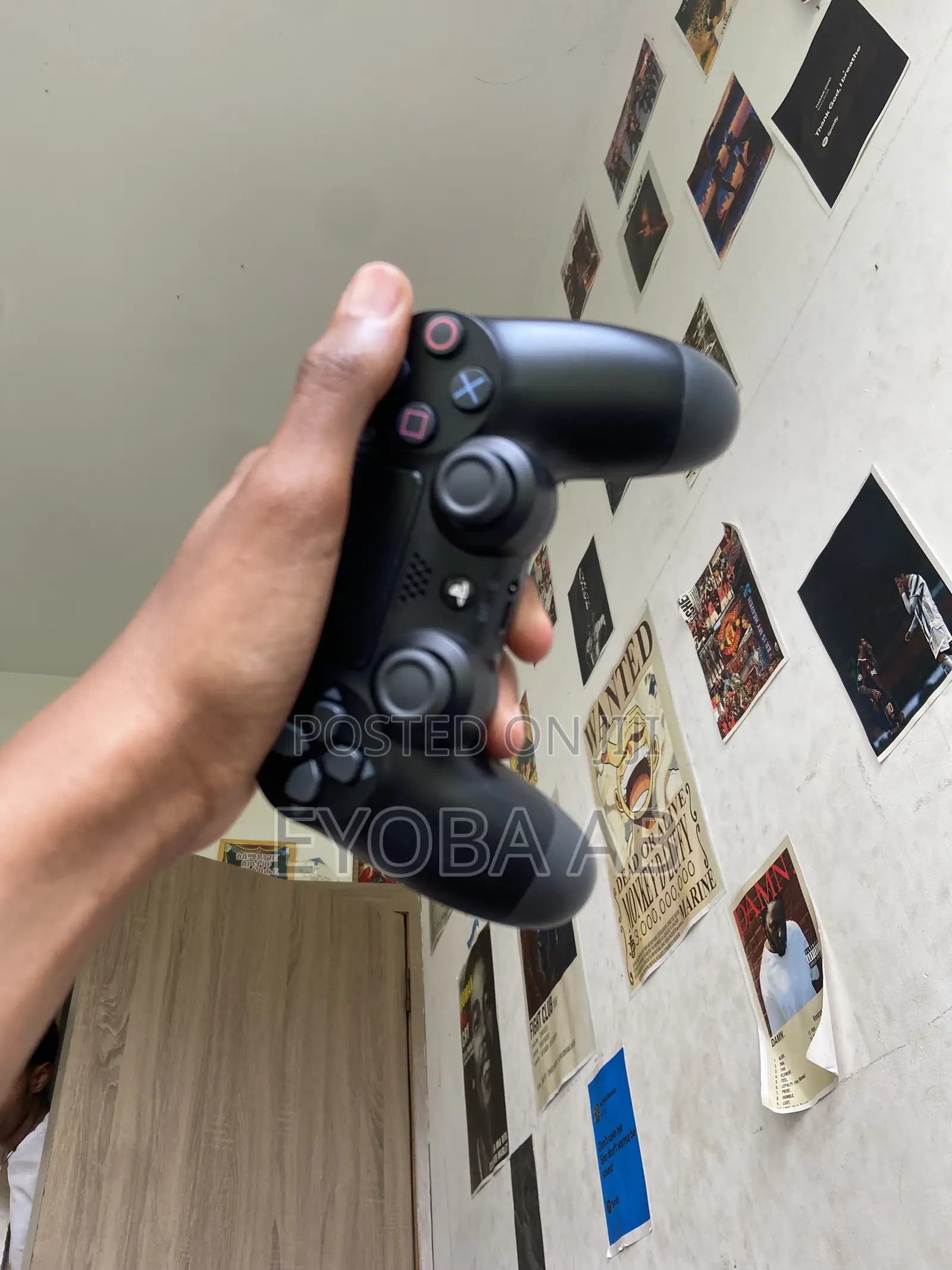 Sony Ps 4 Shaus
