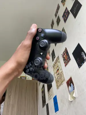 Sony Ps 4 Shaus