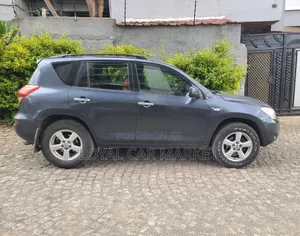 Toyota RAV4 2008 Gray