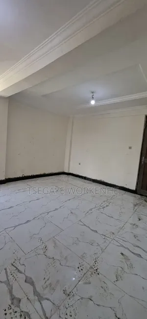 Furnished 2bdrm Condo in Lideta for sale