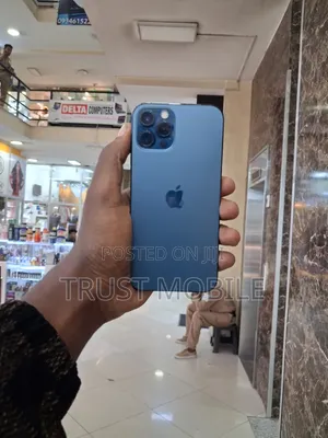 Apple iPhone 12 Pro Max 256 GB Blue