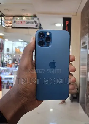 Apple iPhone 12 Pro Max 256 GB Blue