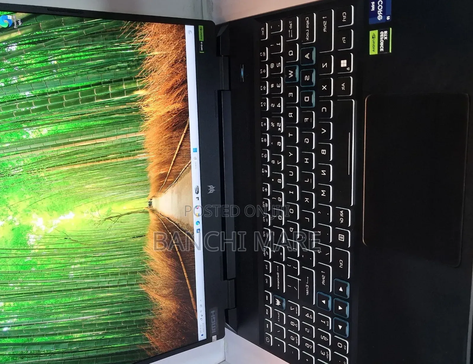 New Laptop Acer Predator Helios 300 16GB Intel Core i9 SSD 1T
