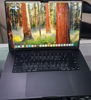 New Laptop Apple MacBook Pro 2024 M4 Max 48GB Apple M4 Max SSD 2T