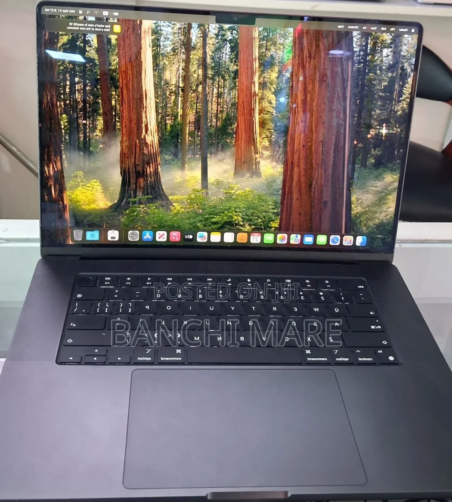 New Laptop Apple MacBook Pro 2024 M4 Max 48GB Apple M4 Max SSD 2T