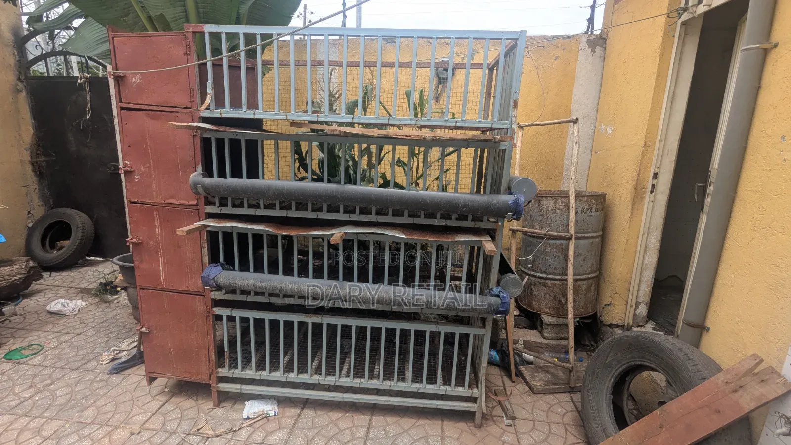 የዶሮ ኬጅ (Hen Cage)