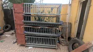 የዶሮ ኬጅ (Hen Cage)