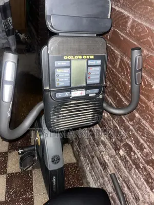 Exercise Bike (Gold's Gym Cycle Trainer 400 Ri)