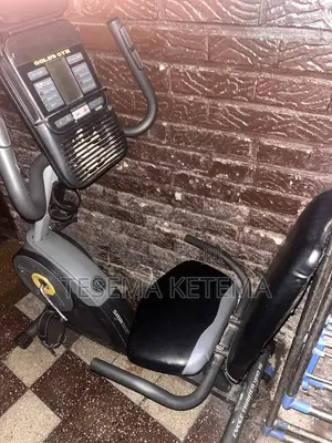 Exercise Bike (Gold's Gym Cycle Trainer 400 Ri)