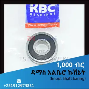 Damas Input Shaft Baring (የዳማስ አልቤሮ ኩሽኔት)