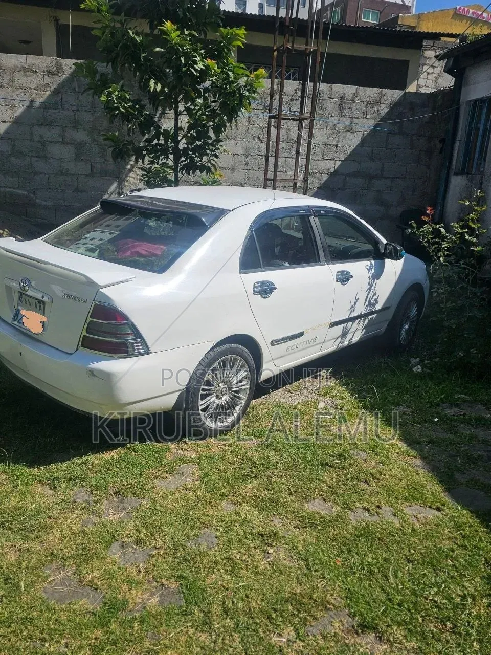 Toyota Corolla 2003 White