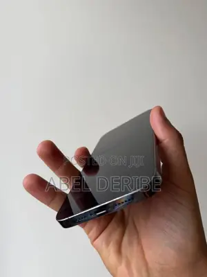 Apple iPhone 13 Pro Max 128 GB Black