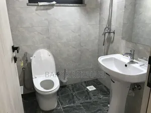 2bdrm Apartment in Century, Kirkos for rent