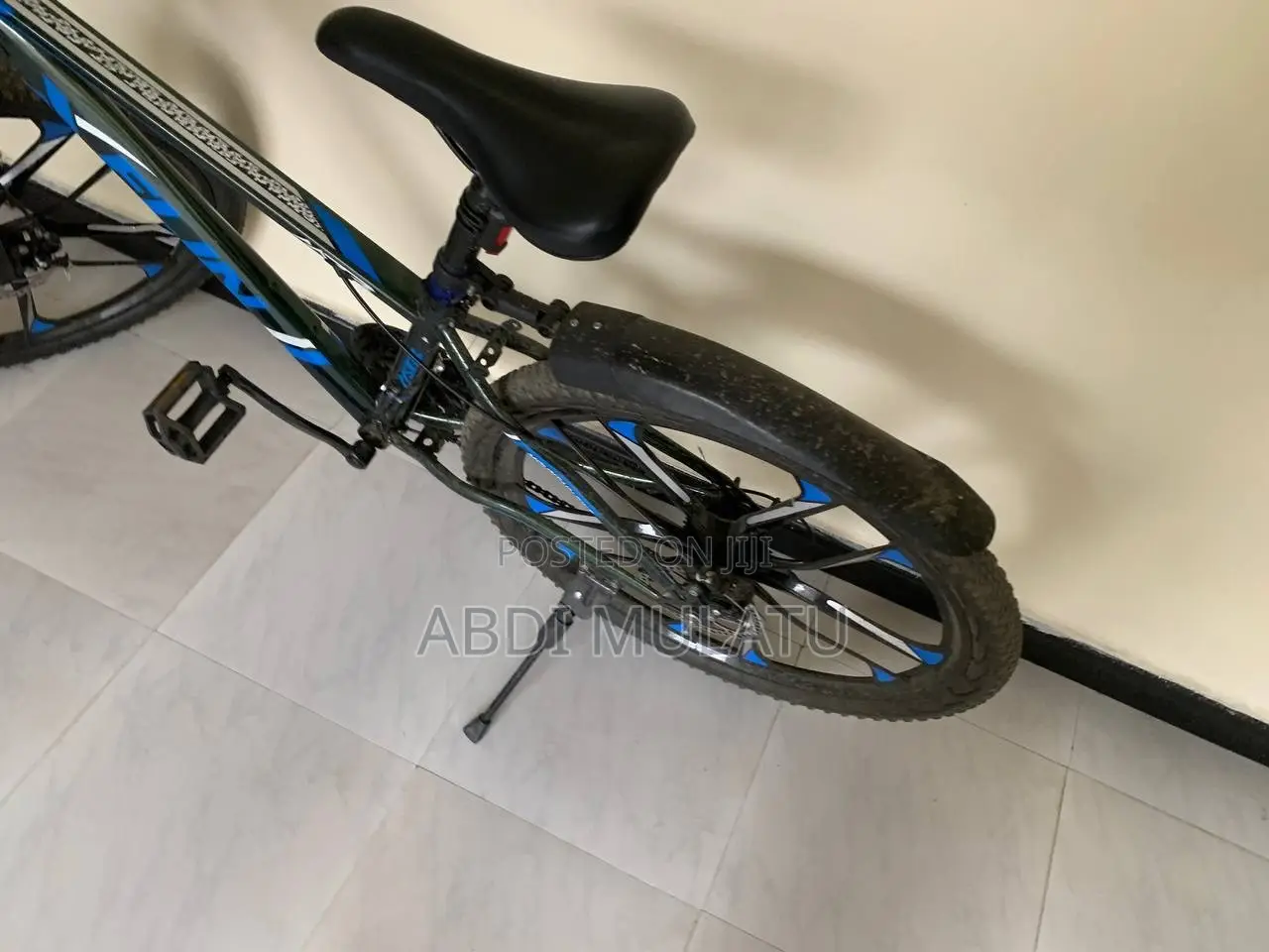 Mountain Bike