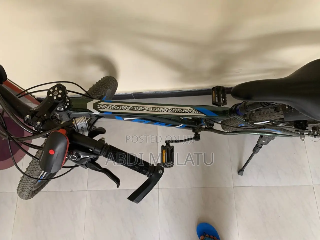 Mountain Bike