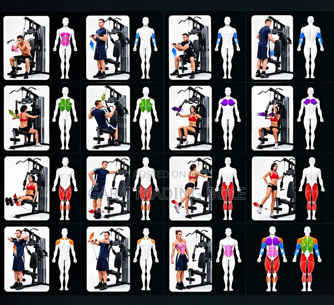 17 Workouts in 1 Equipment