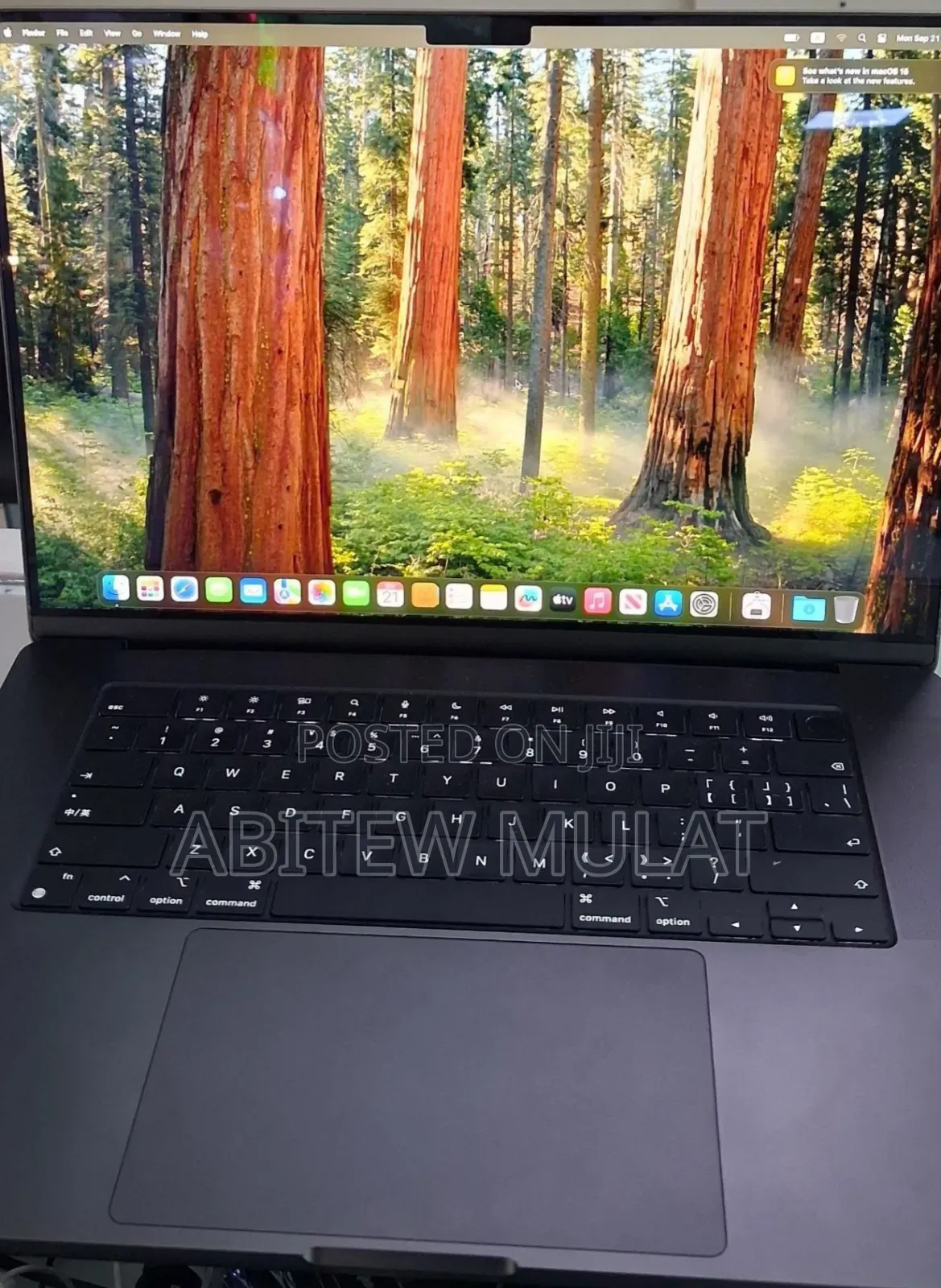 New Laptop Apple MacBook Pro 2024 M4 Max 48GB Apple M4 Max SSD 2T